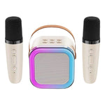 Wireless Bluetooth Microphone Speaker with Karaoke Function, Portable All-in-One Home KTV Set